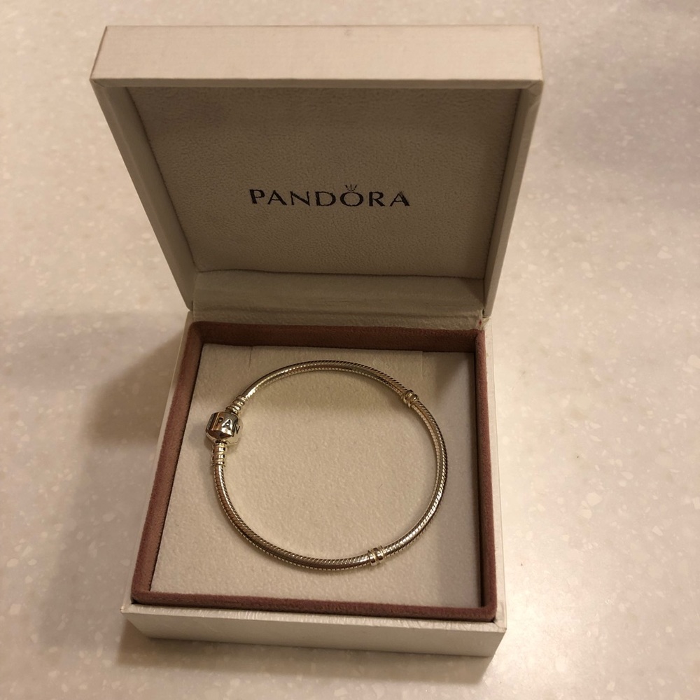 Pandora Snake Chain Bracelet